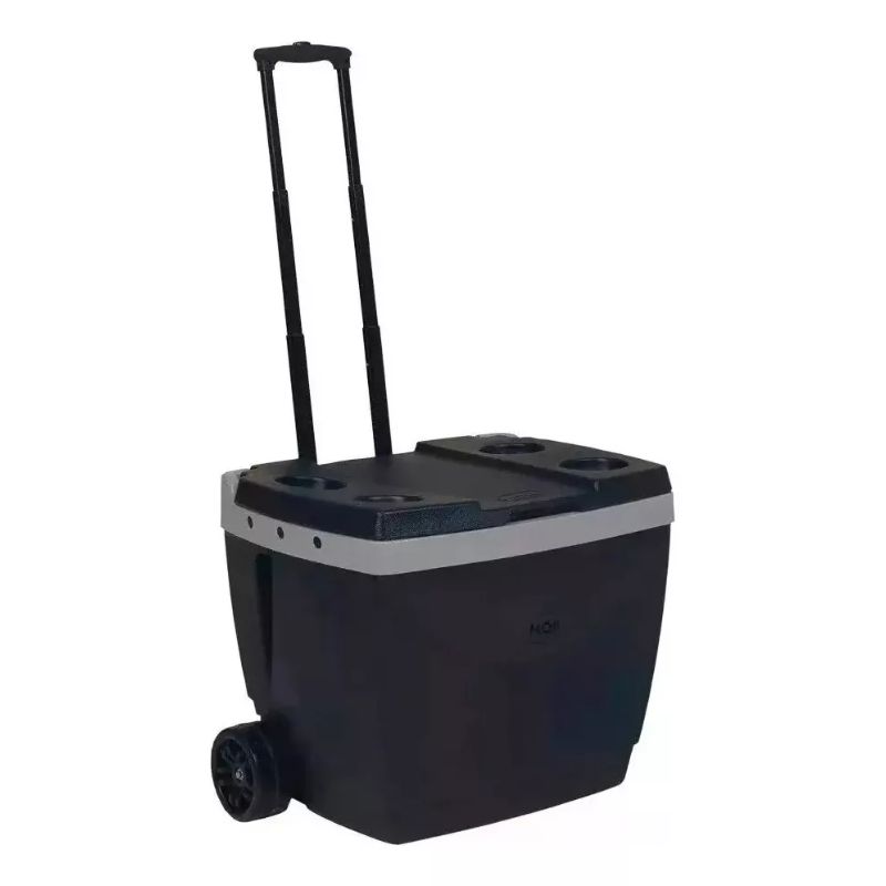 Caja Térmica 42L C/Ruedas Negro